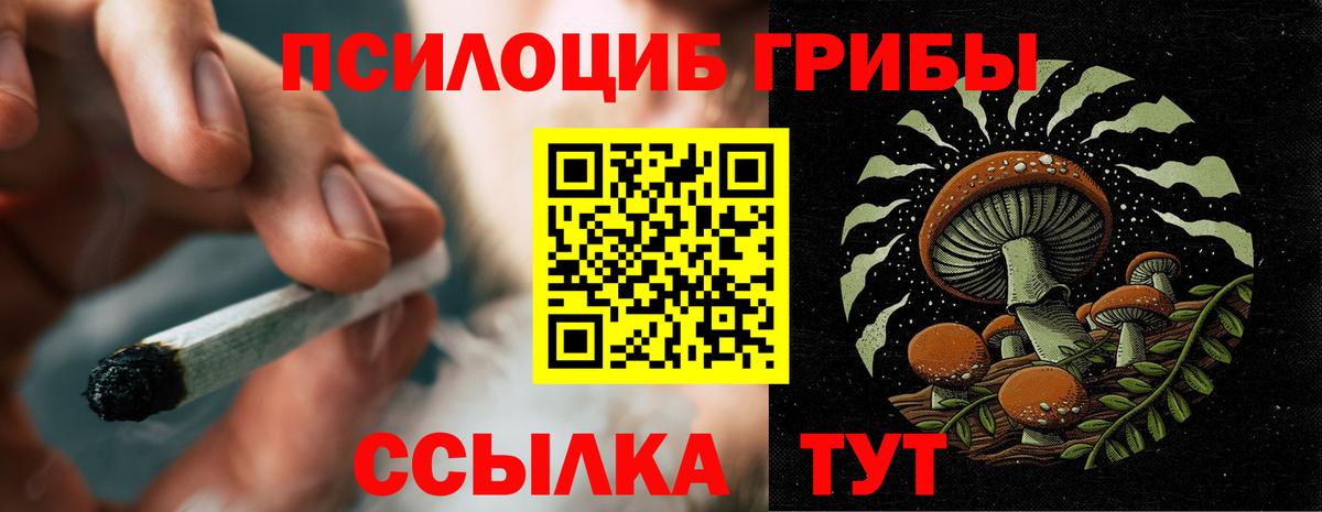 Псилоцибиновые грибы мухоморы  Псилоцибиновые грибы Magic Shrooms  Вход с VPN  Сальск 